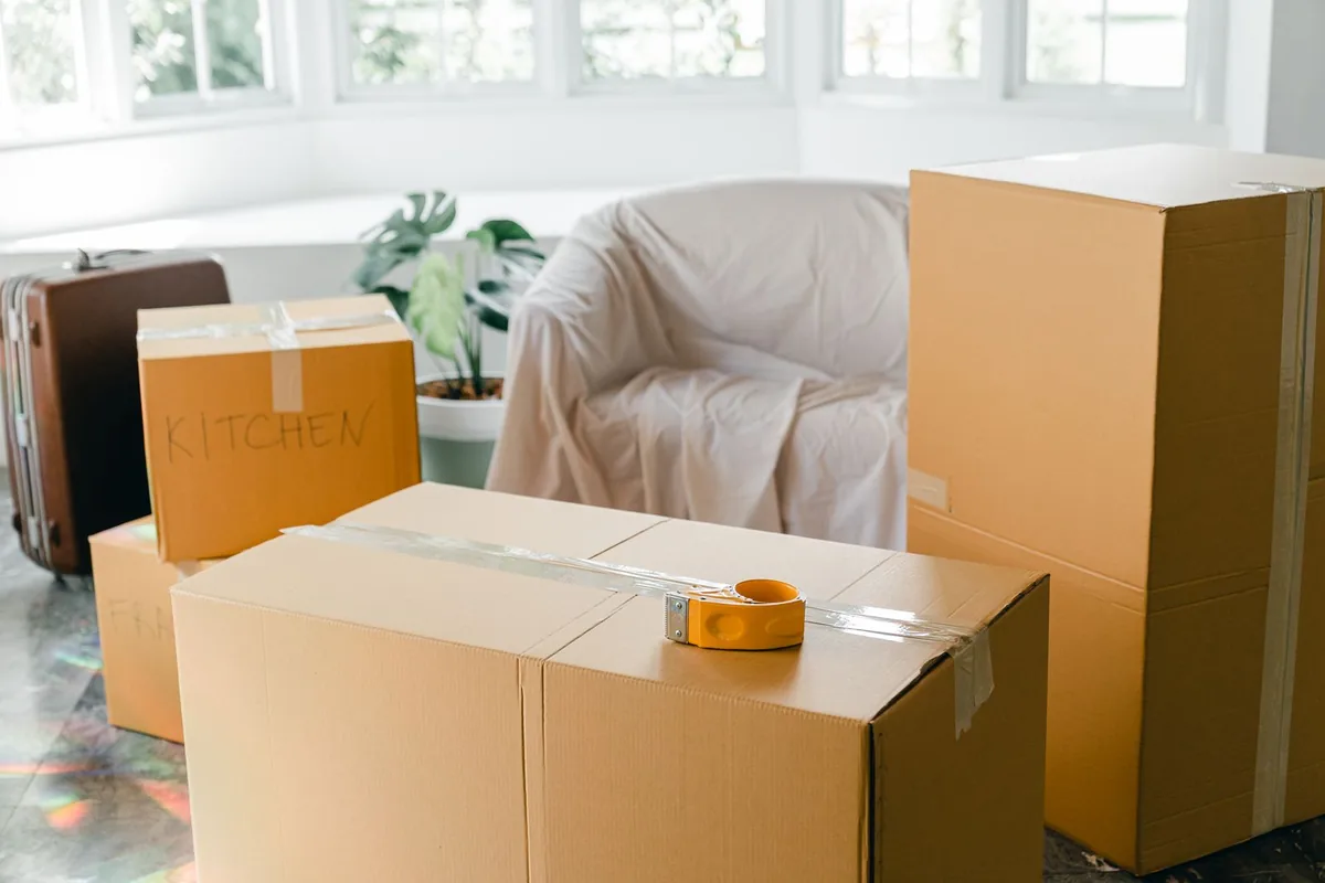 Hoarding Cleanup in Palm Heights, San Antonio, TX